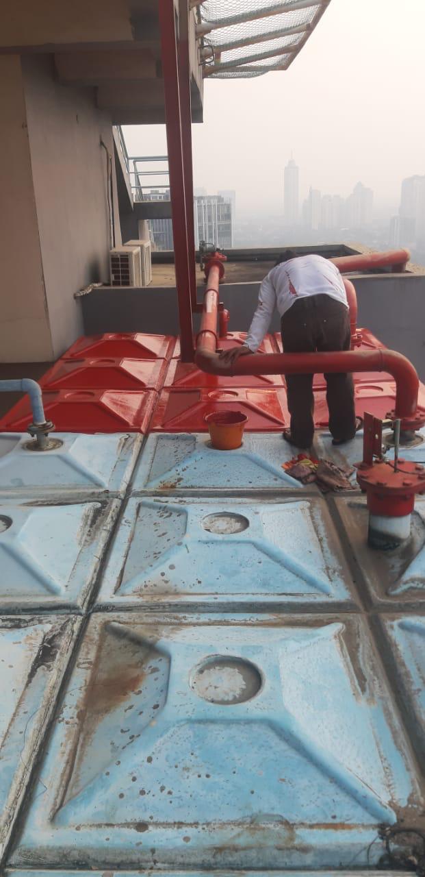 WhatsApp Image 2024-12-23 at 11.15.18 (1)